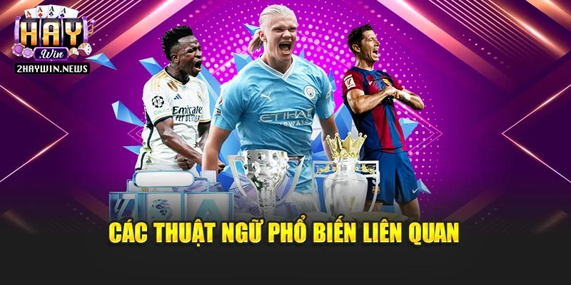 Các thuật ngữ phổ biến liên quan