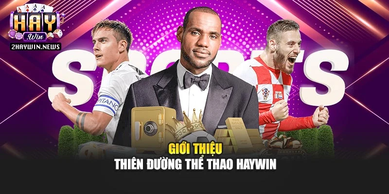 Giới thiệu thiên đường thể thao Haywin