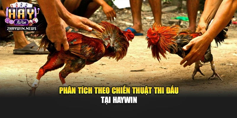 Phân tích theo chiến thuật thi đấu tại Haywin