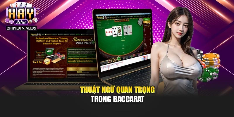 Thuật ngữ quan trọng trong baccarat