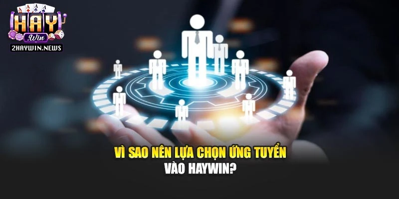 Vì sao nên lựa chọn ứng tuyển vào Haywin